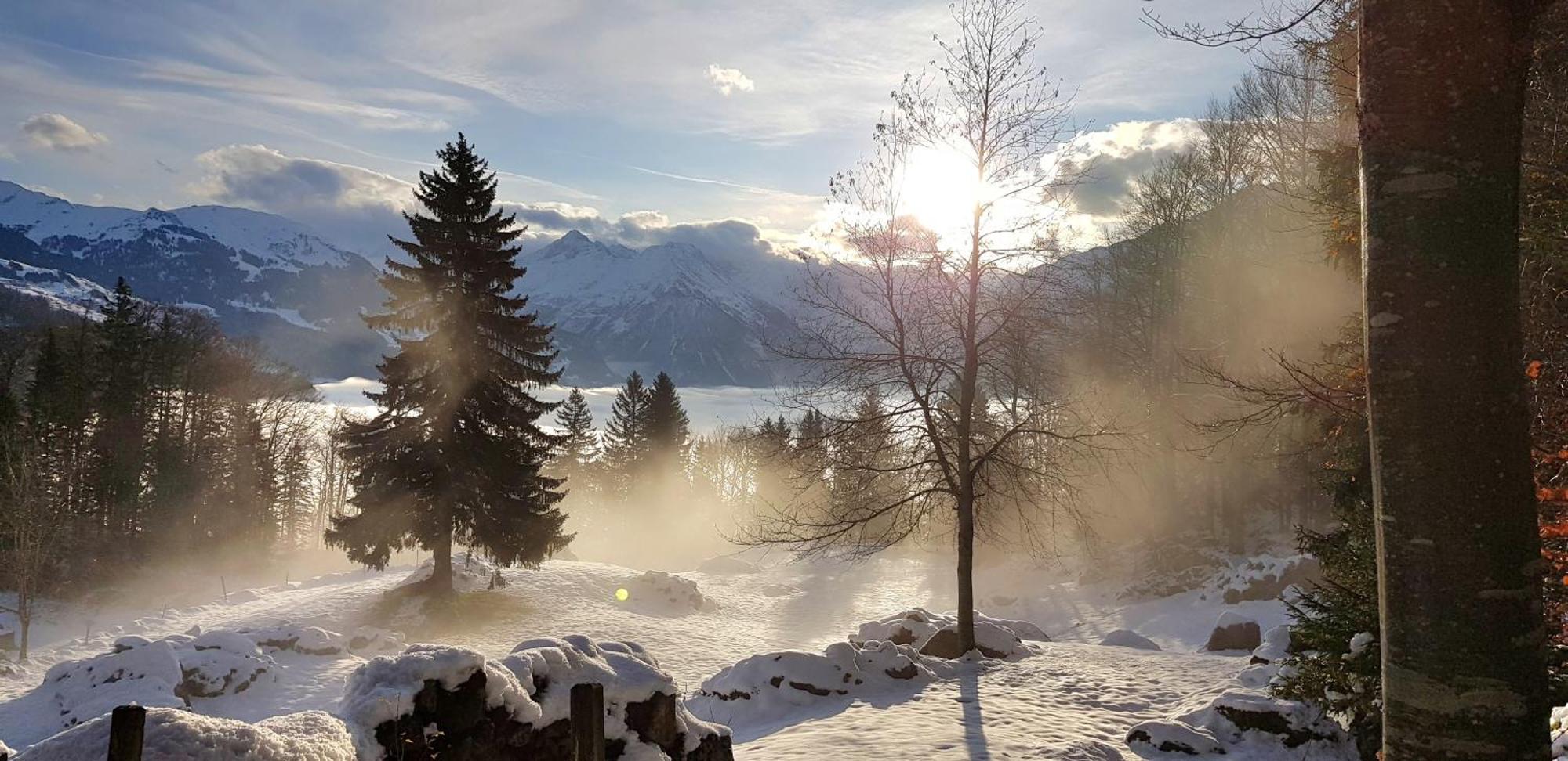 Gemuetliche Fewo Mit Sauna Inmitten Der Berge Meiringen Exterior photo