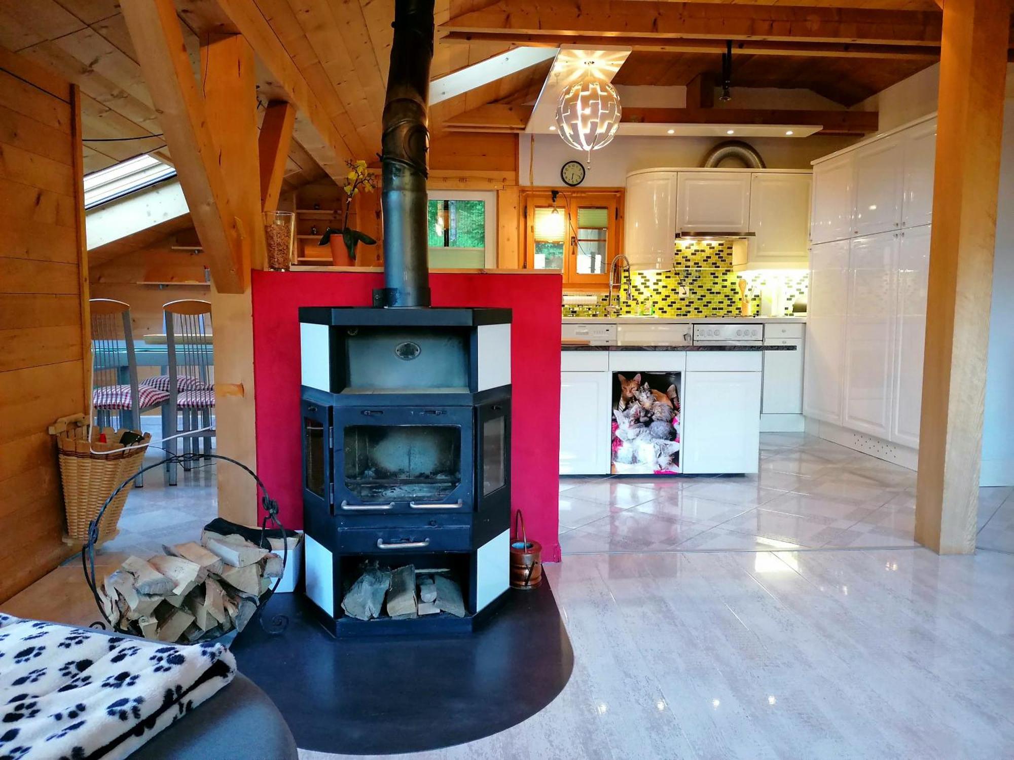 Gemuetliche Fewo Mit Sauna Inmitten Der Berge Meiringen Exterior photo