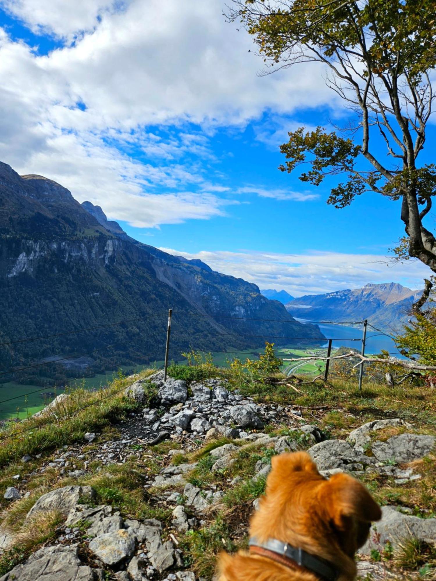 Gemuetliche Fewo Mit Sauna Inmitten Der Berge Meiringen Exterior photo